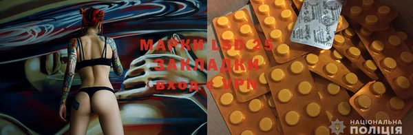 PSILOCYBIN Абаза