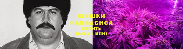 PSILOCYBIN Абаза