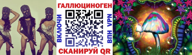 Галлюциногенные грибы Psilocybe  купить закладку  hydra   Уржум 
